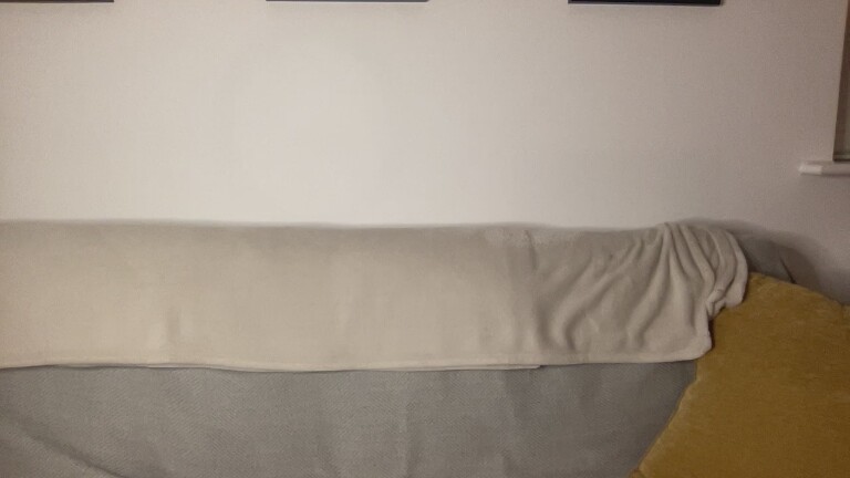 ClaraXVale's Streamate show and profile