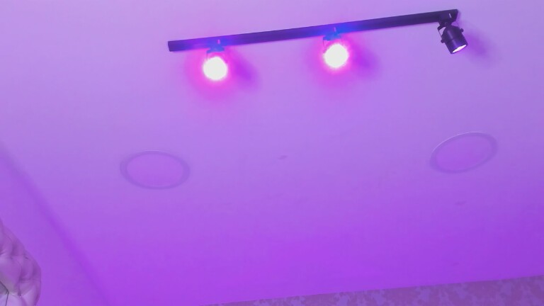 LylaKarl's Streamate show and profile